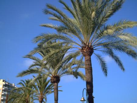 voici mes vacances en espagne